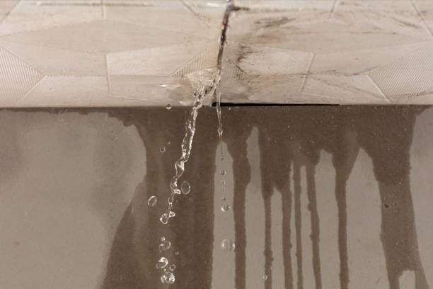 Professional Water Damage Repair technician working in Lignum, VA